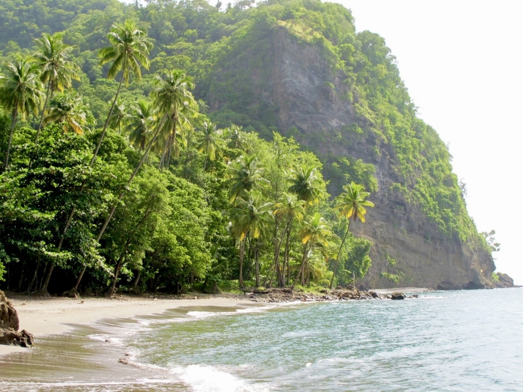 Plonger en Martinique au départ de plages isolées.