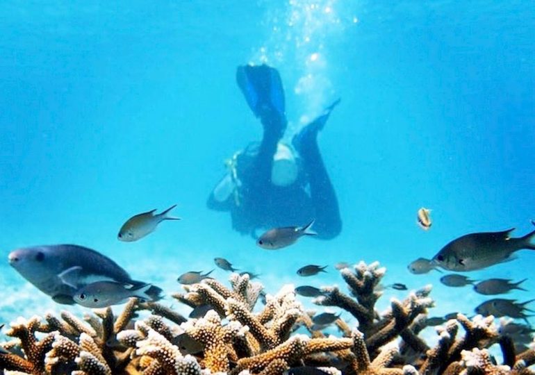 Un plongeur s'éloigne dans les eaux claires de Bonaire