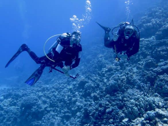 Deux plongeurs qui viennent de faire l'expérience de toucher des animaux marins dans la Mer Rouge