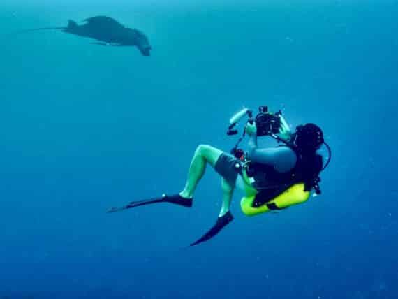 Photographier en plongée demande de pouvoir respecter certaines règles comme celle de se tenir éloigné des animaux marins tel que ce plongeur en Indonésie.