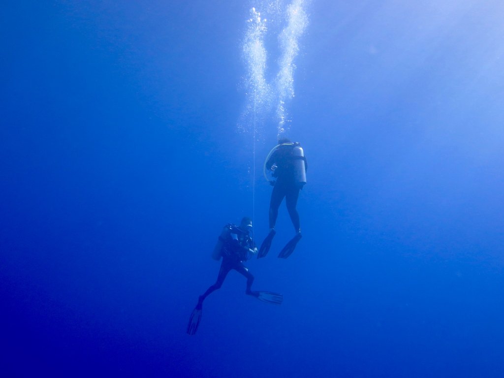 Deux plongeurs remontent à l'aide d'un parachute. Plonger en couple augmente la confiance en soi.