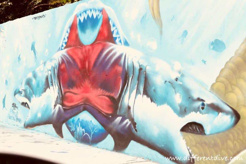 Une des fresques murales sous-marines de Playa.
