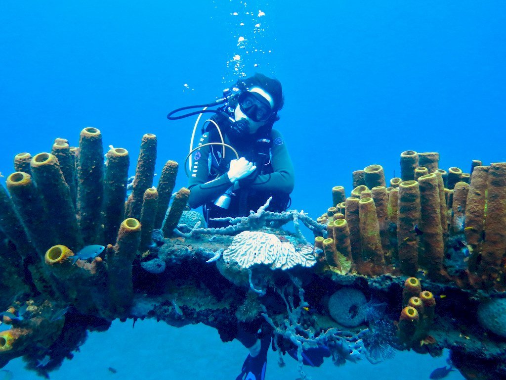 Une plongeuse derrière un morceaux d'épave en Guadeloupe
