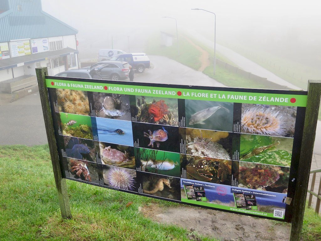 Un panneau d'indication de la faune et la flore de Scharendijk - Zélande - Netherlands