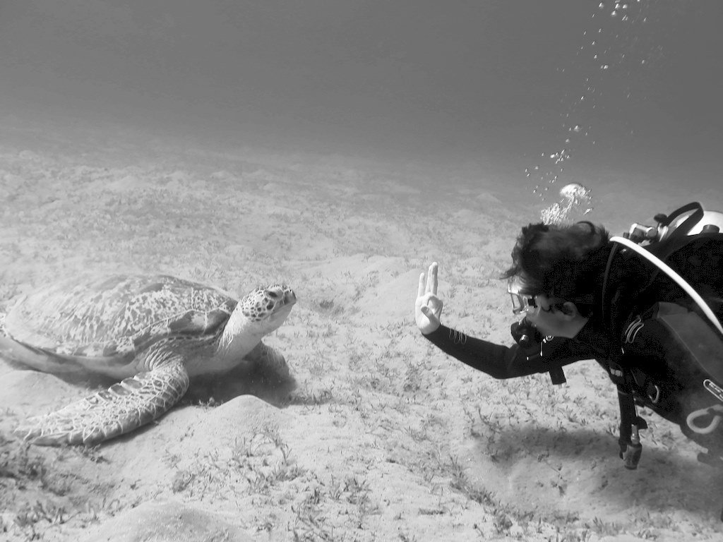 Une plongeuse fait le signe ok à une tortue
