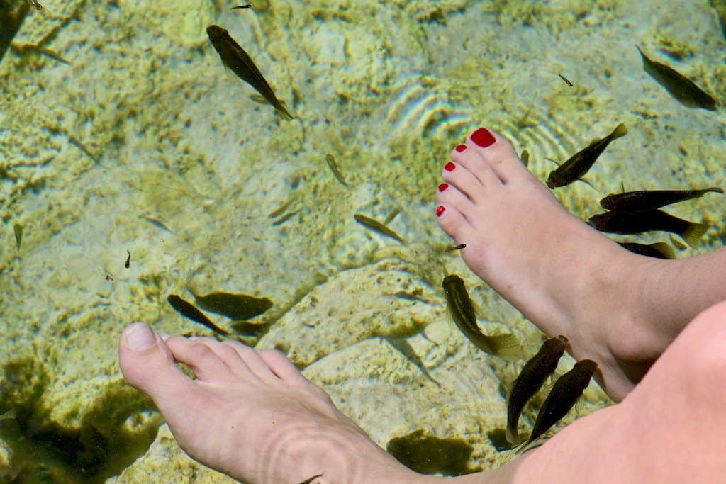 Des poissons viennent manger les petites peaux des pieds des baigneuses