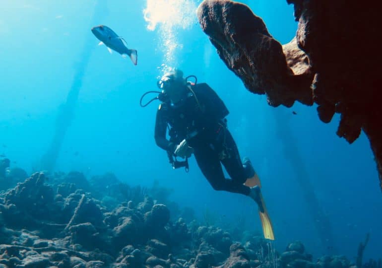 Lier plongée et astrologie permet-il de déterminer le profil de ce plongeur évoluant paisiblement à Bonaire ?