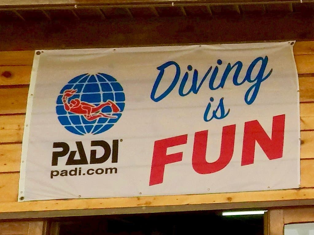 Un drapeau avec le logo de PADI et l'inscription "DIVING IS FUN"
