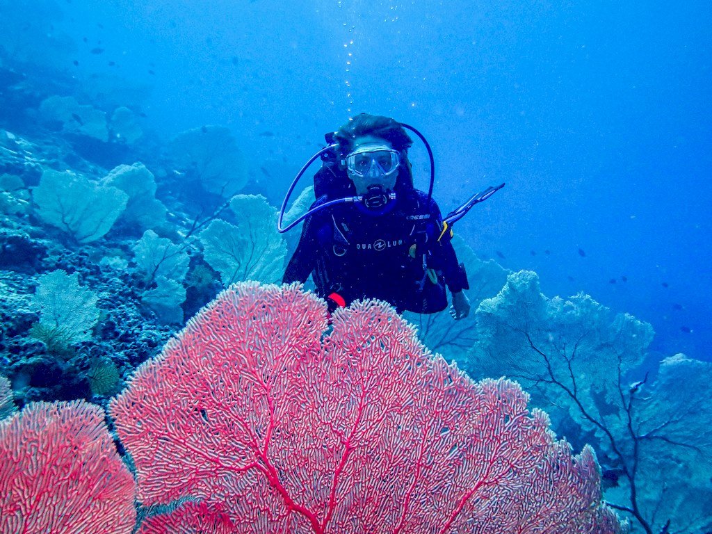 L'auteur du blog de plongée Different Dive derrière une gorgone à Mayotte