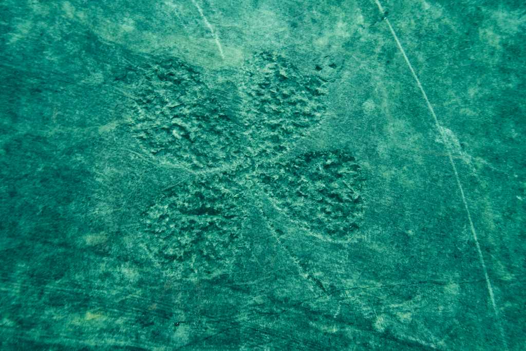 Un signe de trèfle gravé sur les pans de mur de la carrière de la Croisette.