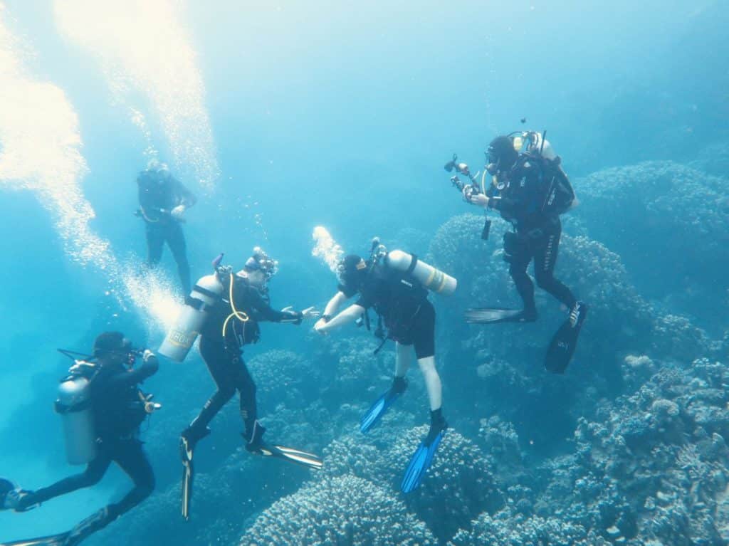 Des instagrameurs occupés à prendre leur plus belle photo sous-marine
