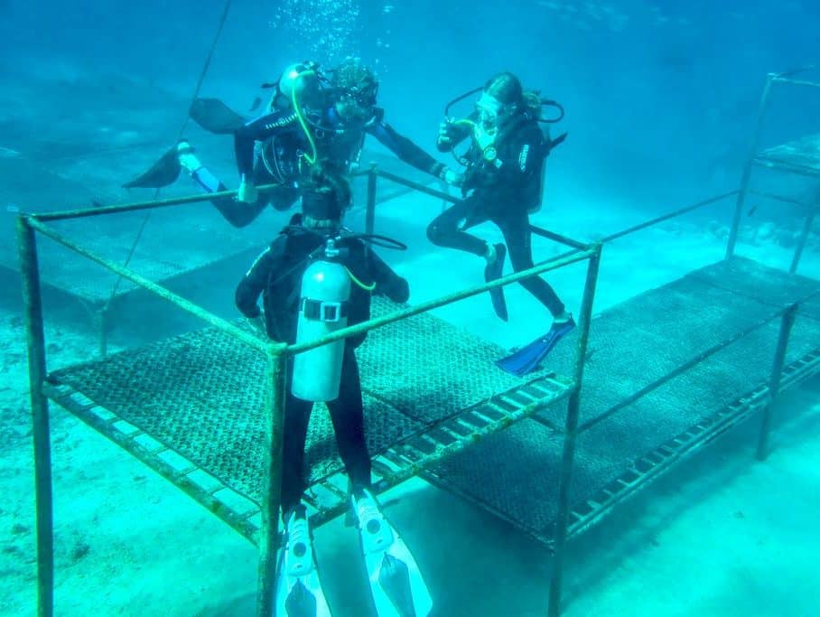 trois plongeurs vérifient leur aisance au travers d'exercices simples au début d'une plongée de réadaptation.