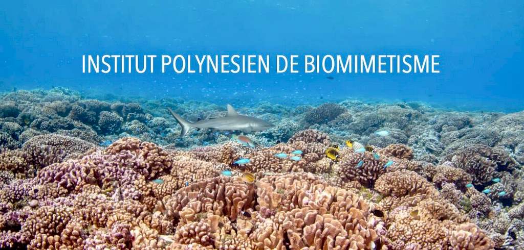 Une affiche représentant le biomimétisme polynésien