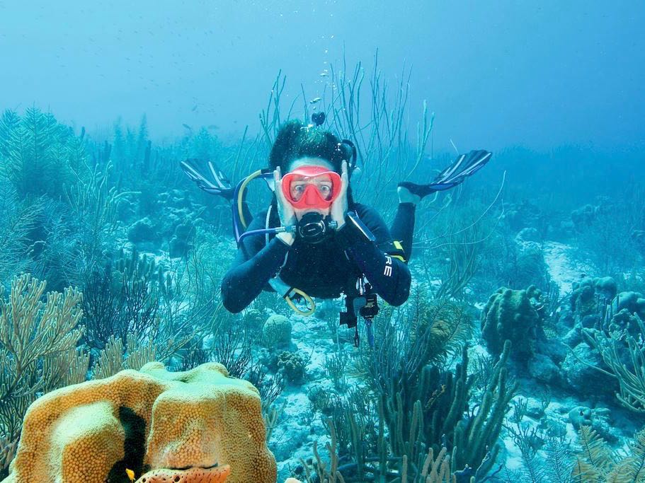 Casser du corail en plongée est ce qu'à fait cette plongeuse qui en est désolée.