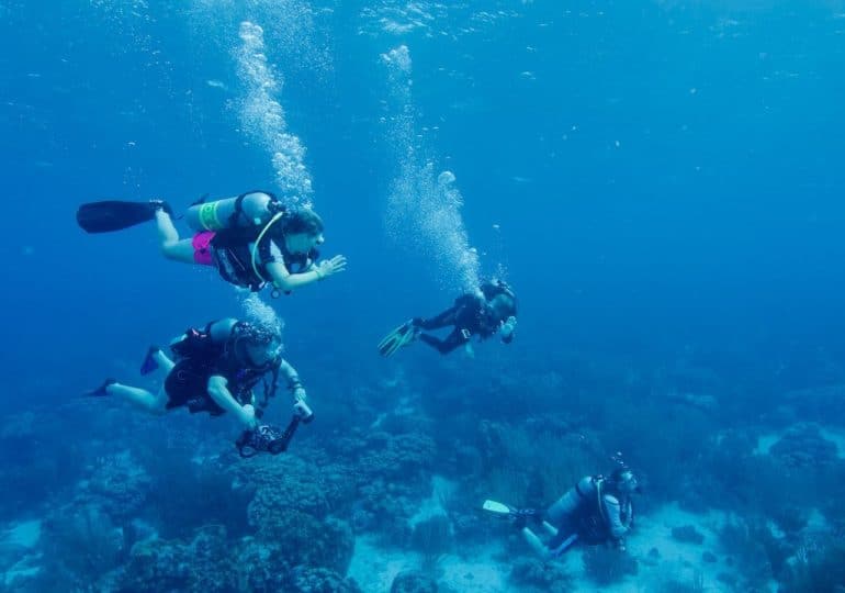 Une palanquée de plongeurs évoluant dans les eaux claires de Bonaire