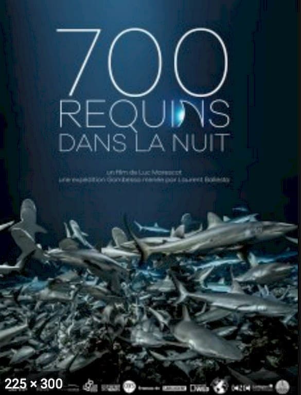 Un des films de plongée que je préfère : 700 requins dans la nuit.