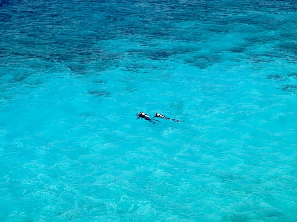 Deux personnes occupées à se mettre à l'eau pour plonger à Bonaire