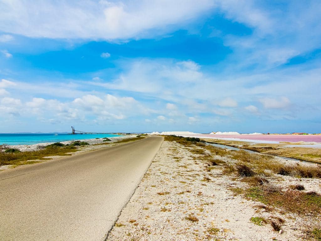La route près de Salt Pier sépare le bleu de l'océan du rose des marais salants. De très belles photos de Bonaire en perspective.
