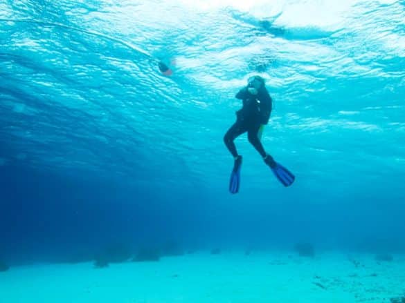 Un plongeur fait son palier de sécurité dans les eaux chaudes de Bonaire.