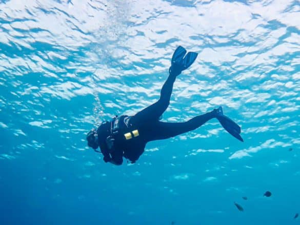 Les pires profils de plongeurs se rencontrent partout autour du monde comme pour ce plongeur en pleine eau à Bonaire.