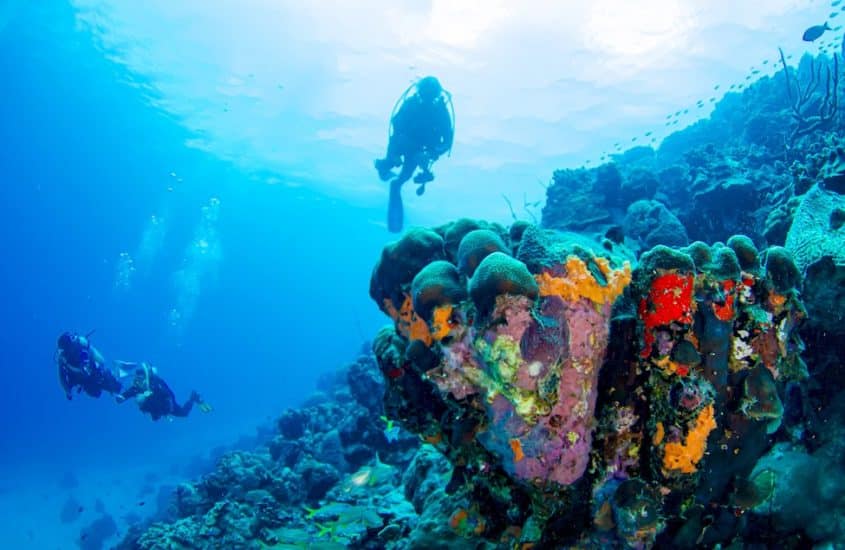 Plonger à Bonaire 2020 : découvertes de nouveaux spots comme ces plongeurs.