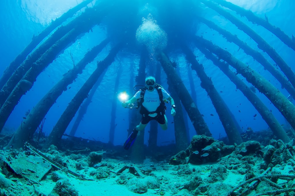 Un plongeur avec un t-shirt Different Dive est occupé à plonger au Salt Pier à Bonaire