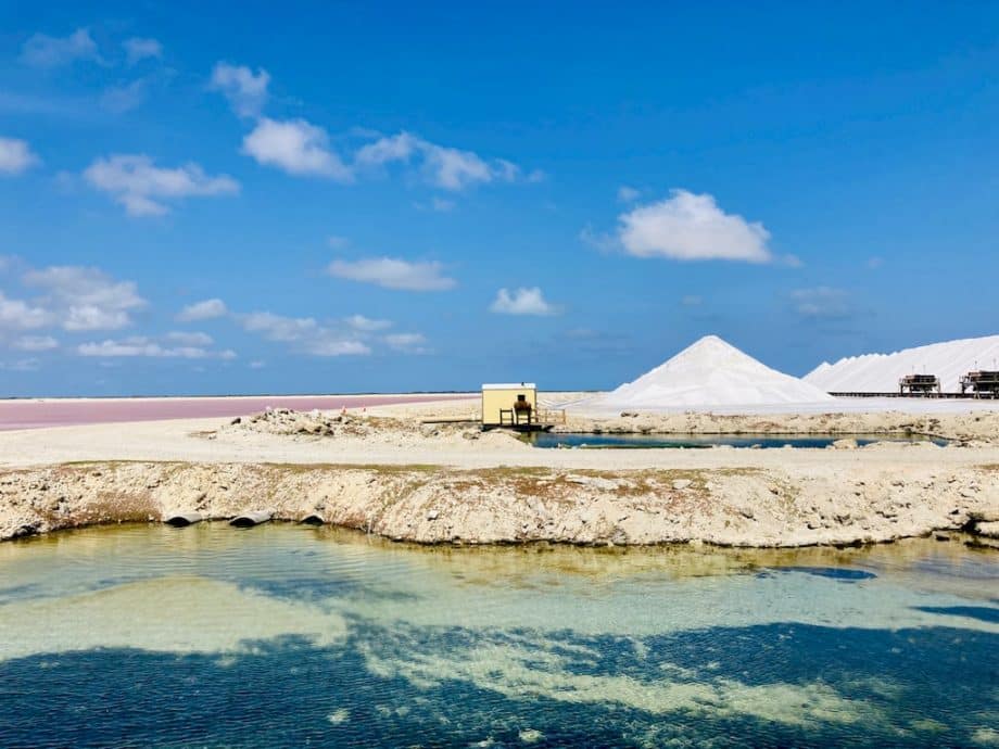 Les salines près du Salt Pier de Bonaire