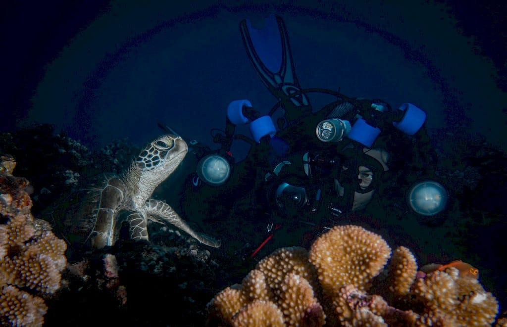 Miguel Ramirez concentré pour prendre en photo une tortue.