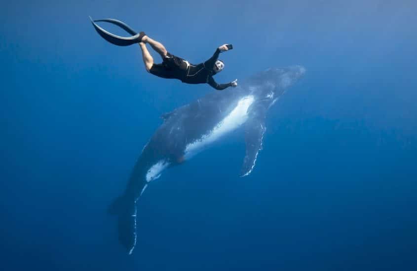 Miguel Ramirez fait un petit selfie pour sa premiere rencontre avec une baleine à la Réunion