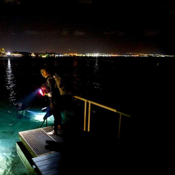 Les plongées de nuit comme celle que s'apprête à faire Hélène Adam à Bonaire permettant de voir que les fonds marins ne se déclinent pas toujours sous des nuances de bleu.