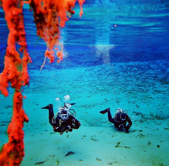 Ces plongeurs évoluant dans la faille de Silfra sont surpris par les nuances de bleu qui sont presque transparent.