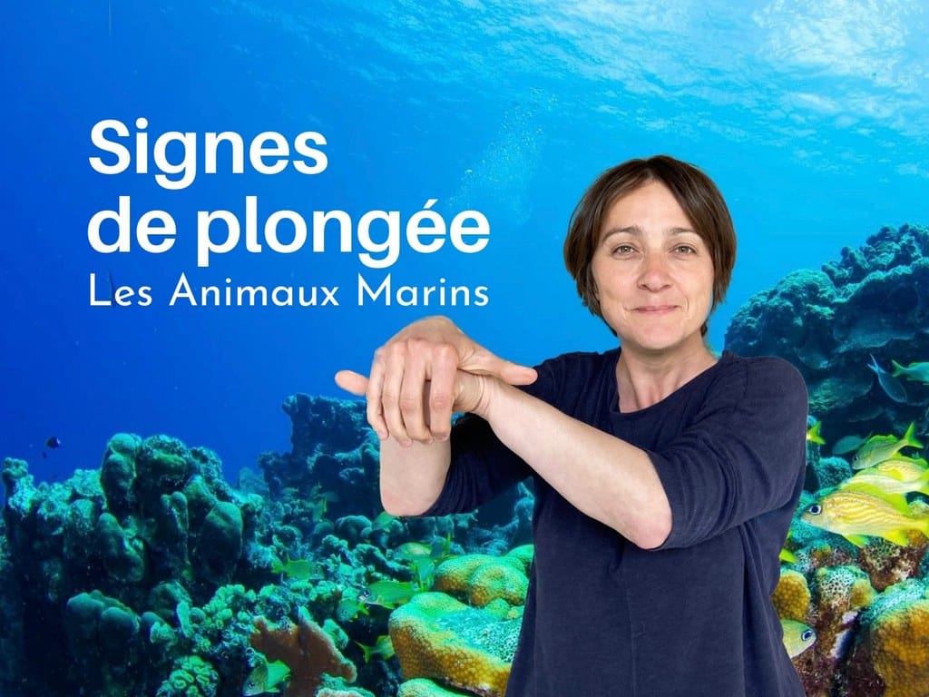 XINL Ardoise D’Écriture De Plongée – Tablette 15,3 X 12,5 Cm, Avec Crayon Flottant Et Clip BCD – Pour Sports Aquatiques