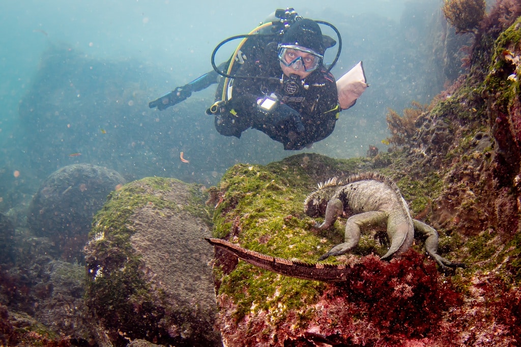 Hélène en plongée aux Galapagos.