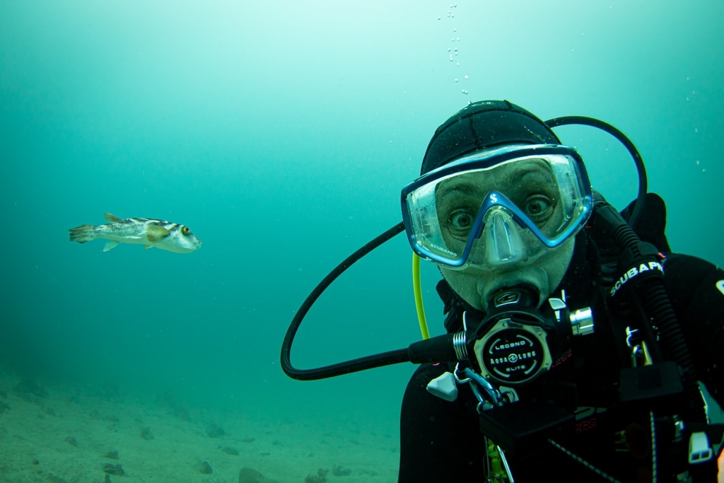 Hélène Adam avec un poisson coffre aux Galapagos.