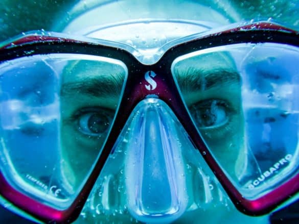 Un plongeur regarde à travers son masque de plongée