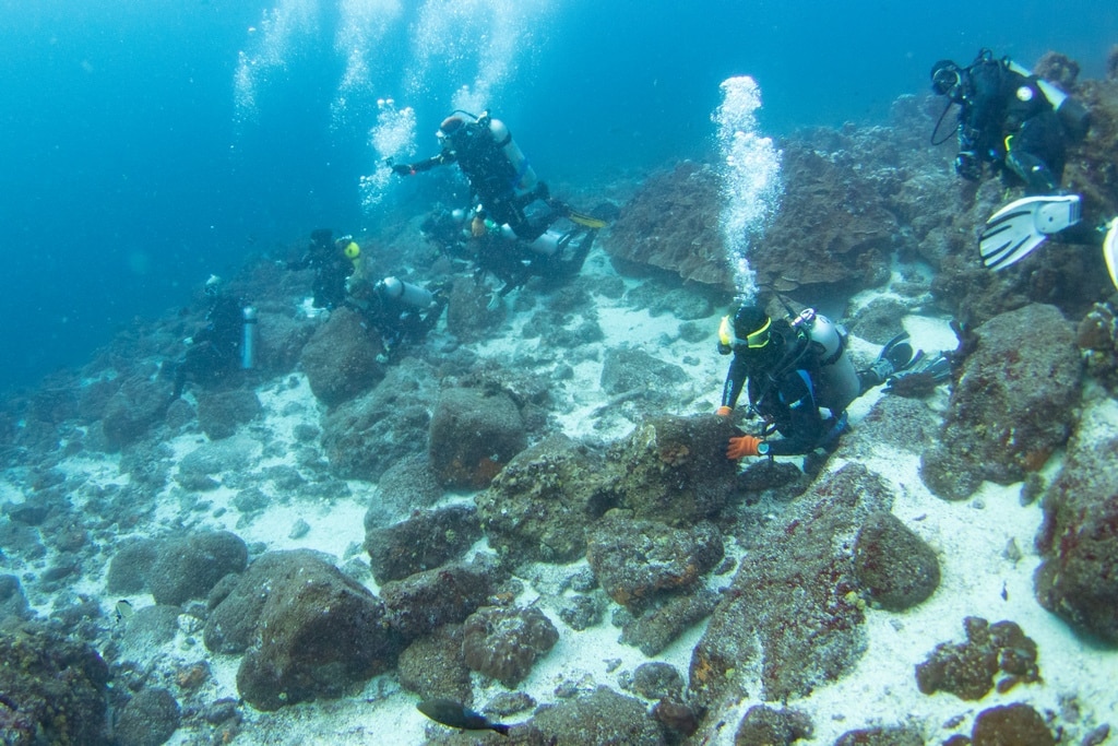 La face cachée des Galapagos nous montre des plongeurs assis ou couchés sur les roches.