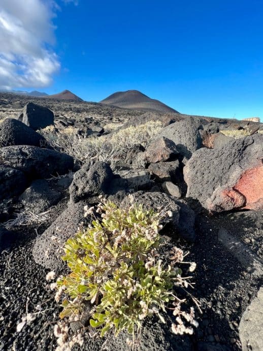 Paysage volcanique à El Hierro.