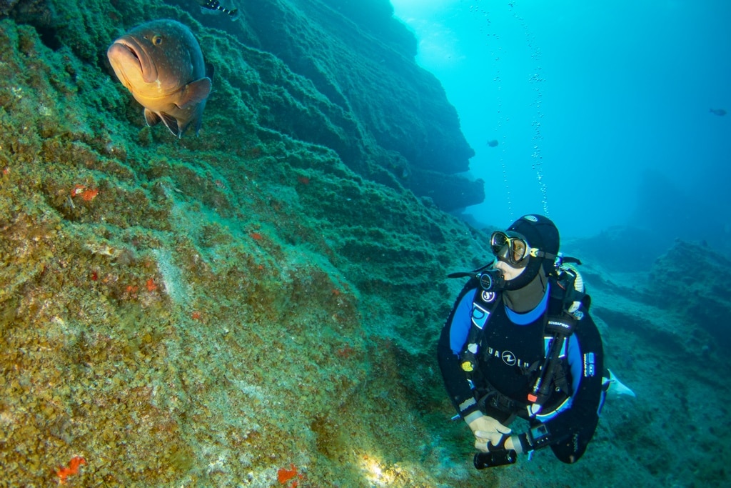 Didier regarde un mérou sur le site El Bajon en plongée à El Hierro.