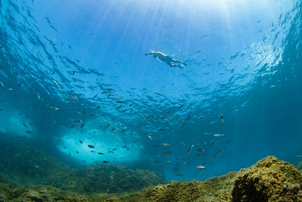 Les baigneurs profitent de la mer.