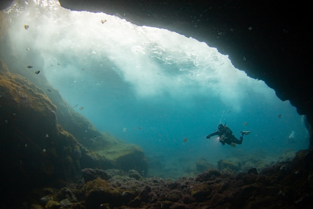 Ambiance sous marine immense des plongées à El Hierro.