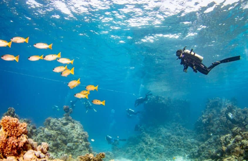 Il existe de nombreuses manières de progresser en plongée sous-marine.