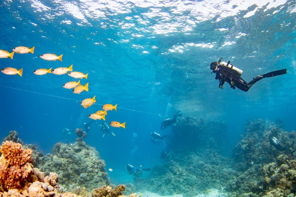 Il existe de nombreuses manières de progresser en plongée sous-marine.