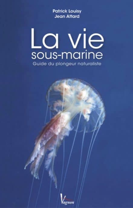 Le guide de la vie sous-marine de Patrick Louisy et Jean Attard.