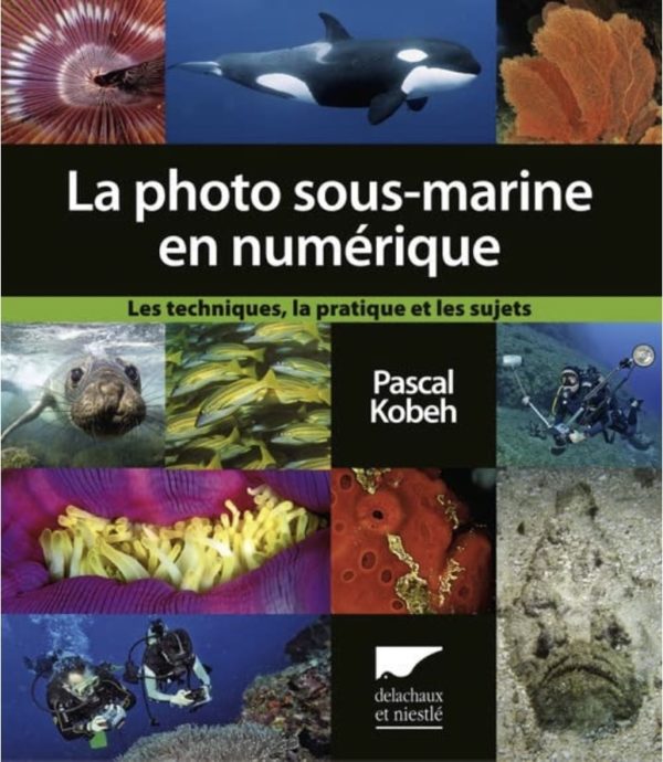 La photo sous-marine de Pascal Kobeh est un des meilleurs livres du genre en plongée.