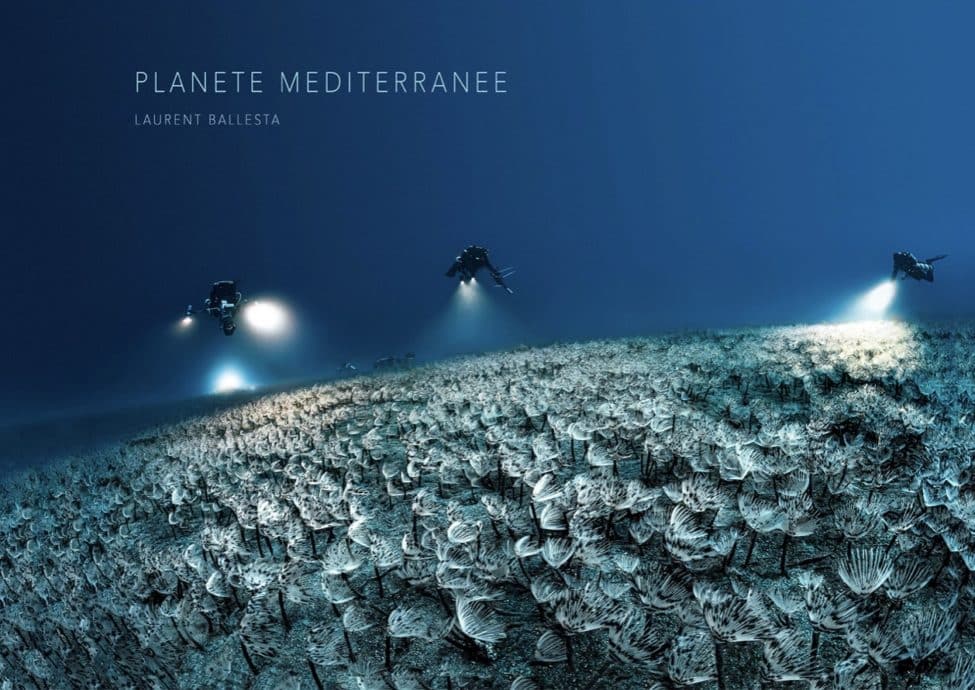 Couverture du livre Planète Méditerranée de Laurent Ballesta.