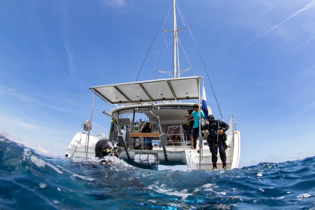 Un catamaran de plongée privatisé pour vivre de belles expériences en Méditerranée.