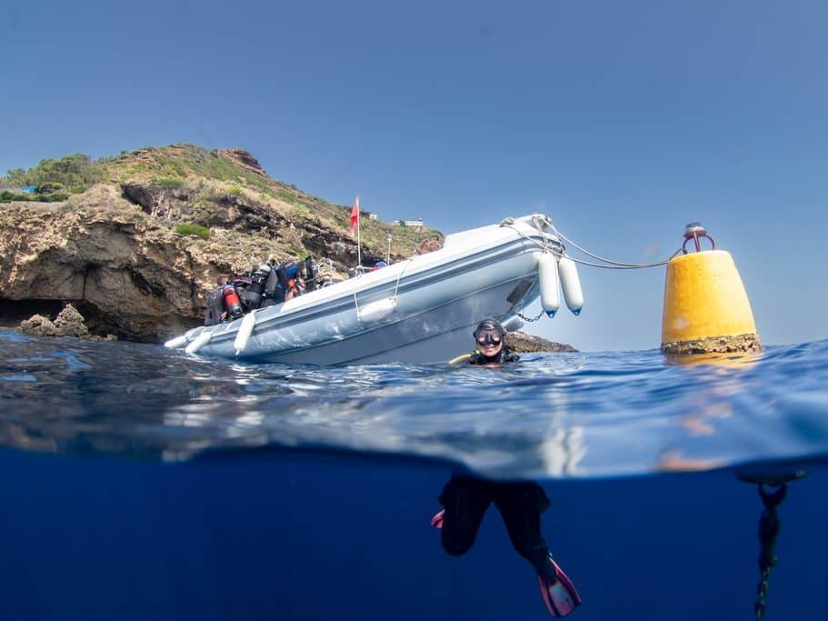 Plongée à Ustica : La Destination Que Vous Allez Adorer !