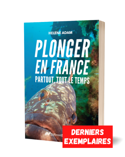Le livre Plonger En France de Different Dive.