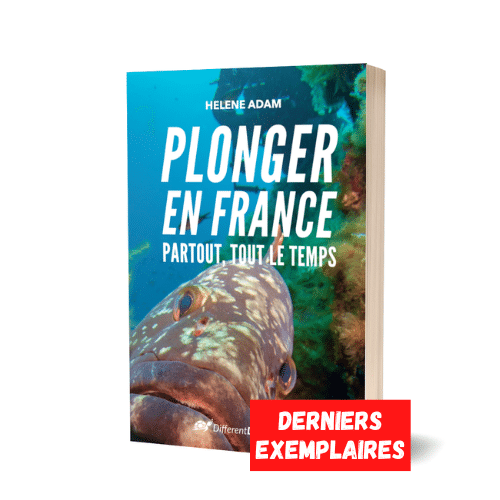 Le livre Plonger En France de Different Dive.