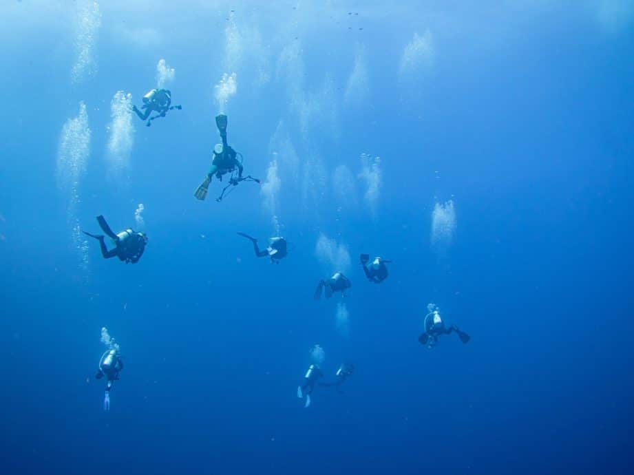 Une palanquée de plongeurs et plongeuses à Ustica.
